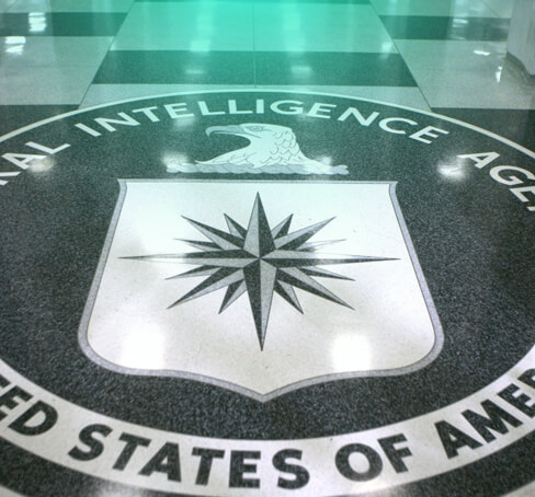 Intelligence community